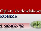 Sprawozdanie z ochrony środowiska, tel. 502-032-782, Cennik za wykaz