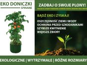 Osłonki do rozsady – Uprawa pomidorów